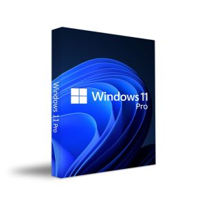 WINDOWS 11 HOME VERSION 64- BIT FPP